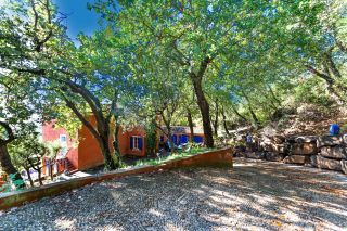 house 14 Rooms life annuity on OLLIOULES (83190)