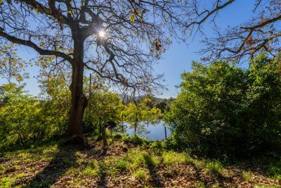 Viager Propriété Hyères 25&nbsp;Pièces 3800&nbsp;m²