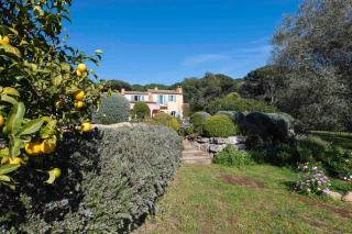 maison 8 Pièces en viager sur ST TROPEZ (83990)