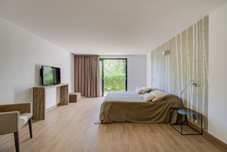 maison 8 Pièces en viager sur CASSIS (13260)